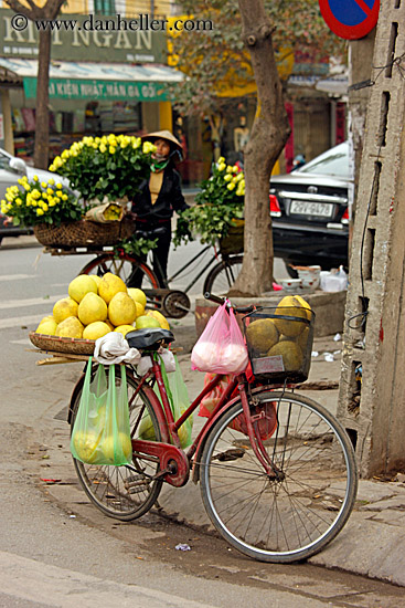melons-on-bike-01.jpg
