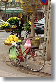images/Asia/Vietnam/Hanoi/Bikes/Fruit/melons-on-bike-01.jpg