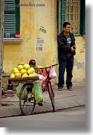 asia, bicycles, bikes, fruits, hanoi, melons, vertical, vietnam, photograph