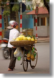 images/Asia/Vietnam/Hanoi/Bikes/Fruit/melons-on-bike-09.jpg
