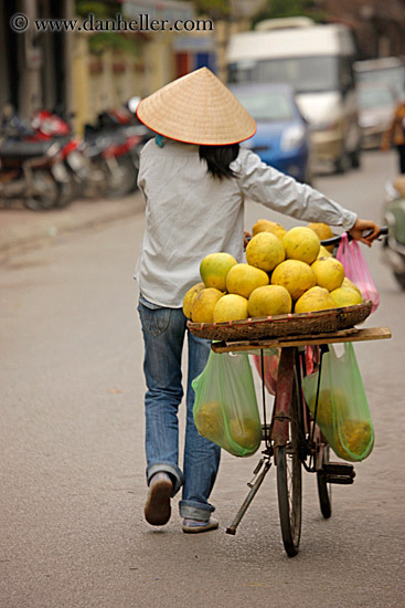 melons-on-bike-10.jpg