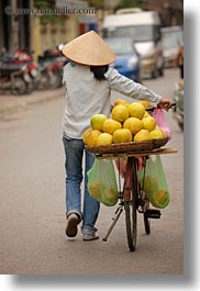 asia, bicycles, bikes, fruits, hanoi, melons, vertical, vietnam, photograph