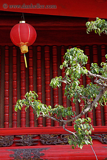 red-lantern-n-green-tree-leaves-1.jpg