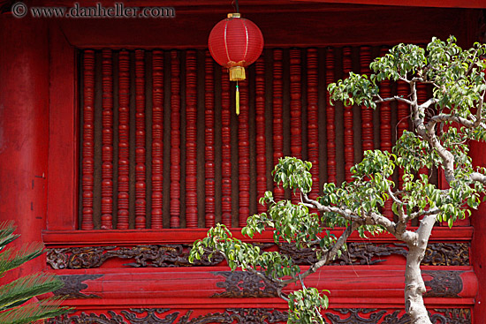 red-lantern-n-green-tree-leaves-3.jpg