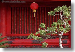 images/Asia/Vietnam/Hanoi/ConfucianTempleLiterature/Gardens/red-lantern-n-green-tree-leaves-3.jpg