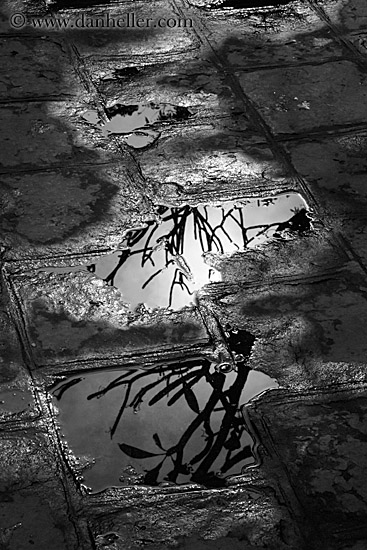 water-on-brick-1-bw.jpg