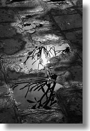 asia, black and white, bricks, confucian temple literature, hanoi, vertical, vietnam, water, photograph