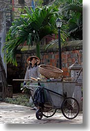 asia, confucian temple literature, gardeners, hanoi, people, vertical, vietnam, womens, photograph