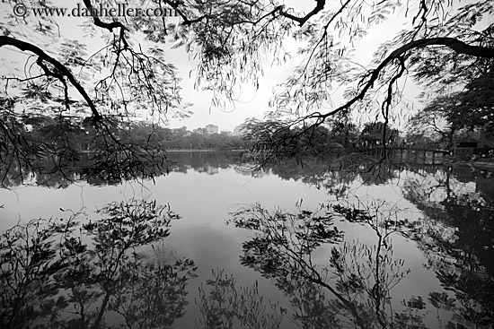 branches-n-water-reflection-2-bw.jpg