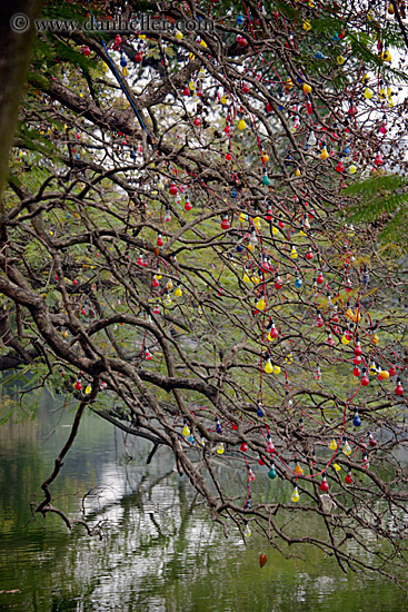 colorful-lightbulbs-in-branches-1.jpg