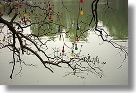 asia, branches, colorful, hanoi, horizontal, lakes, lightbulbs, vietnam, photograph