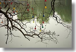 images/Asia/Vietnam/Hanoi/Lake/colorful-lightbulbs-in-branches-3.jpg