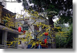 asia, green, hanoi, horizontal, lanterns, red, trees, vietnam, photograph