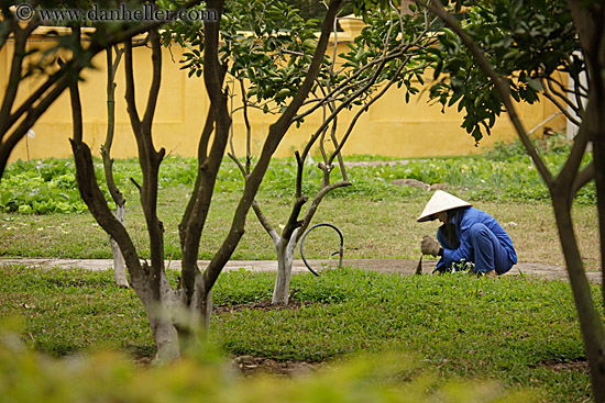 gardening-women-in-blue-w-white-conical-hats-1.jpg
