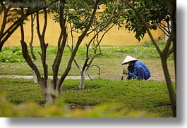 images/Asia/Vietnam/Hanoi/People/Gardeners/gardening-women-in-blue-w-white-conical-hats-1.jpg
