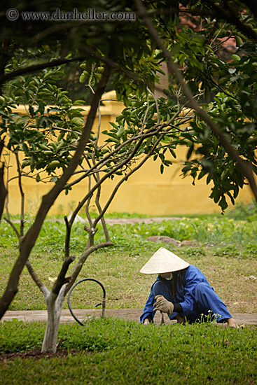 gardening-women-in-blue-w-white-conical-hats-3.jpg