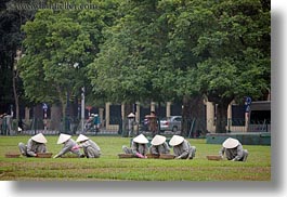 images/Asia/Vietnam/Hanoi/People/Gardeners/gardening-women-in-grey-w-white-conical-hats-1.jpg