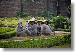 asia, conical, gardeners, gardening, grey, hanoi, hats, horizontal, people, vietnam, white, womens, photograph