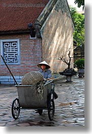 images/Asia/Vietnam/Hanoi/People/Gardeners/gardening-women-in-grey-w-white-conical-hats-5.jpg