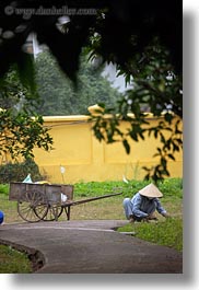 images/Asia/Vietnam/Hanoi/People/Gardeners/gardening-women-in-grey-w-white-conical-hats-7.jpg