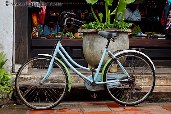 light-blue-bike-n-flowers-2.jpg