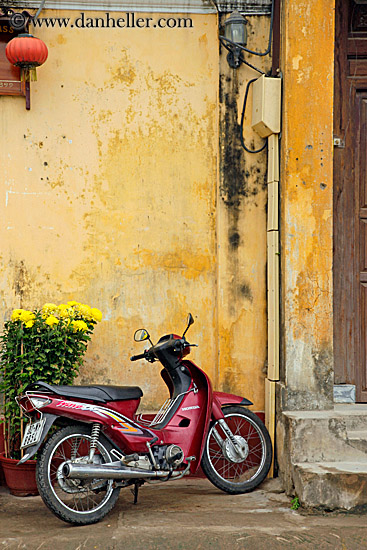 moped-n-yellow-wall.jpg