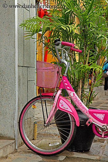 pink-bike-n-plant.jpg