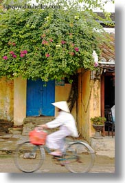 images/Asia/Vietnam/HoiAn/Bikes/woman-riding-bicycle-1.jpg