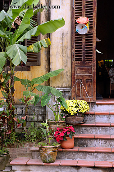 flowers-on-stairs.jpg