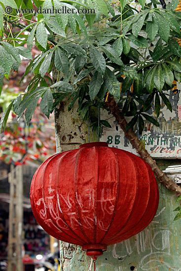 red-lantern-n-green-leaves.jpg