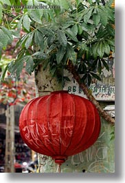 asia, green, hoi an, lanterns, leaves, red, vertical, vietnam, photograph