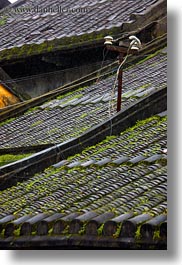 asia, electric, hoi an, roofs, vertical, vietnam, wires, photograph