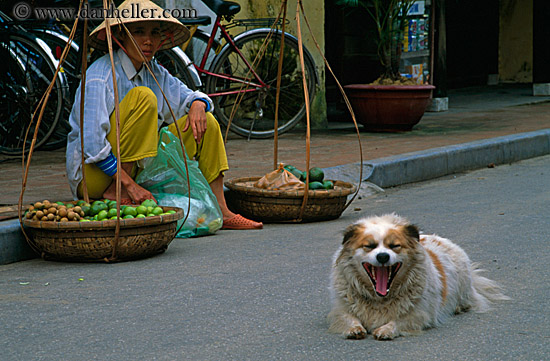 yawning-dog-n-woman-w-don_ganh.jpg