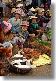 asia, birds, hoi an, people, selling, vertical, vietnam, womens, photograph