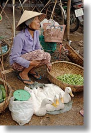 asia, ducks, hoi an, people, selling, vertical, vietnam, womens, photograph