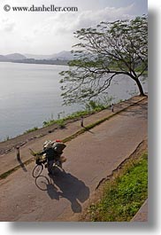 asia, bicycles, bikes, conical, hats, hue, vertical, vietnam, womens, photograph