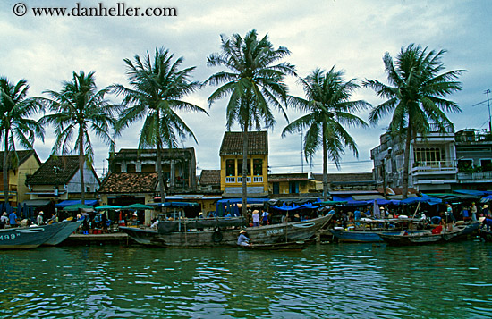 boats-in-harbor-w-palm_trees.jpg