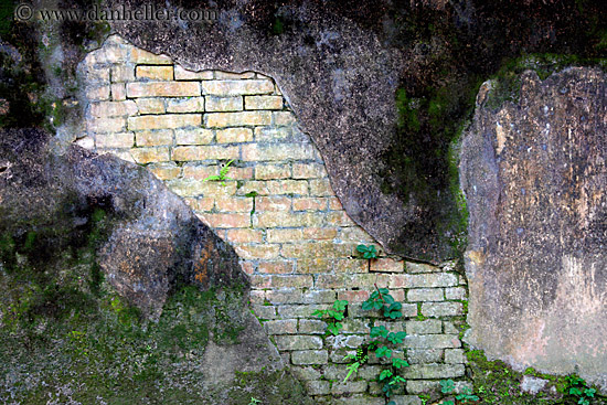 ivy-on-old-brick-wall-1.jpg