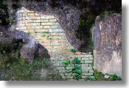 images/Asia/Vietnam/Hue/Citadel/ivy-on-old-brick-wall-1.jpg
