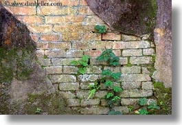 asia, bricks, citadel, horizontal, hue, ivy, old, vietnam, walls, photograph