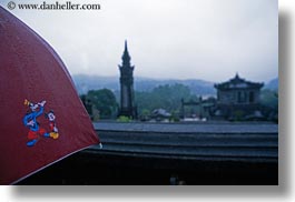 images/Asia/Vietnam/Hue/KhaiDinh/Landscape/mickey-mouse-umbrella-in-rain.jpg