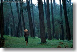 asia, forests, green, horizontal, hue, khai dinh, landscapes, lush, people, vietnam, photograph