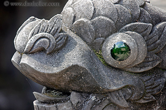 green-dragon-eye-1.jpg