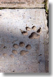 asia, hue, khai dinh, paws, prints, tu duc tomb, vertical, vietnam, photograph