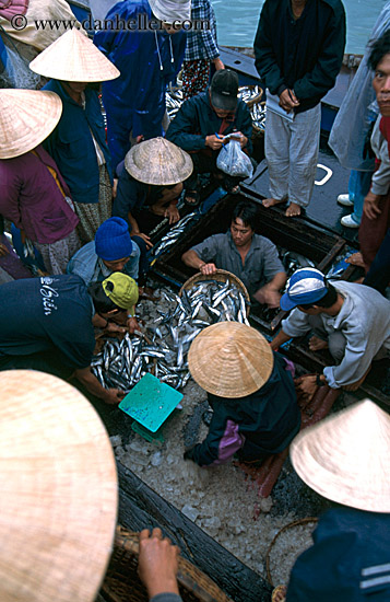 fish-market-n-conical-hats-1.jpg