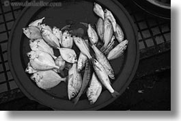 asia, black and white, fish, horizontal, hue, market, plates, vietnam, photograph