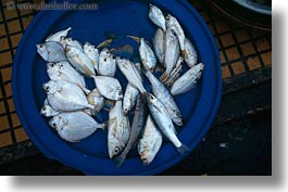asia, fish, horizontal, hue, market, plates, vietnam, photograph