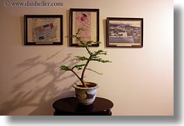 asia, bonsai, horizontal, hue, shadows, trees, vietnam, photograph