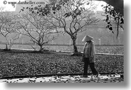 asia, asian, black and white, horizontal, hue, leaves, people, vietnam, walking, womens, photograph