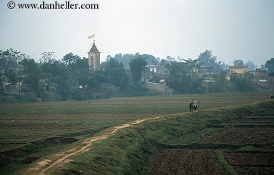 man-w-ox-in-rice-field.jpg